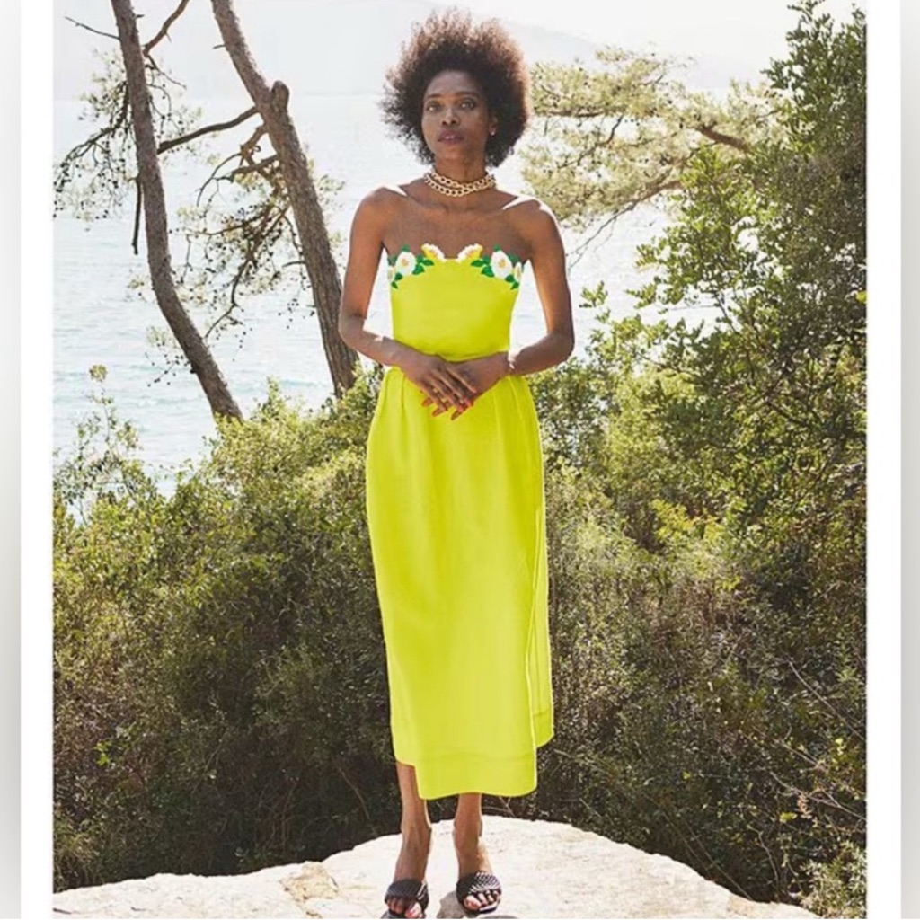 Nwt Fanm Mon Lorr Citron Embroidered Floral Citron Linen Midi Dress